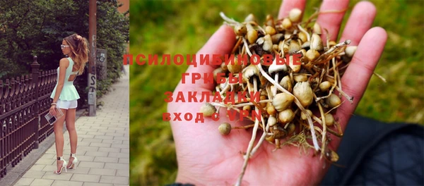 гидропоника Нея